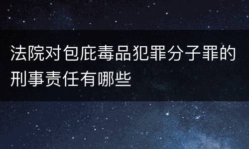 法院对包庇毒品犯罪分子罪的刑事责任有哪些