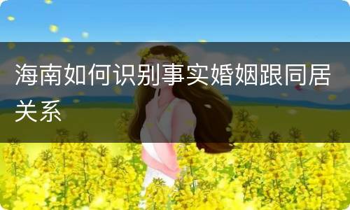 海南如何识别事实婚姻跟同居关系