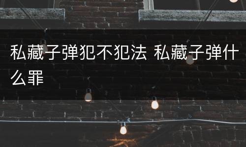 私藏子弹犯不犯法 私藏子弹什么罪