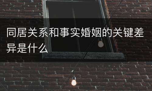 同居关系和事实婚姻的关键差异是什么