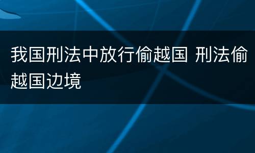 我国刑法中放行偷越国 刑法偷越国边境