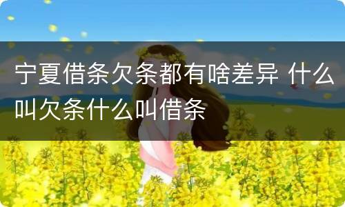 宁夏借条欠条都有啥差异 什么叫欠条什么叫借条