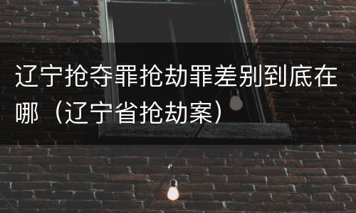 辽宁抢夺罪抢劫罪差别到底在哪（辽宁省抢劫案）