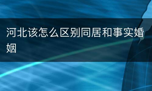 河北该怎么区别同居和事实婚姻