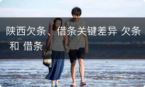 陕西欠条、借条关键差异 欠条 和 借条
