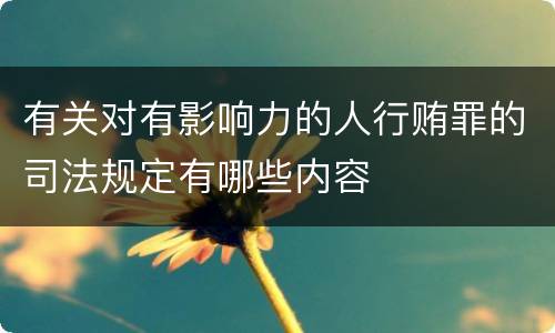 有关对有影响力的人行贿罪的司法规定有哪些内容