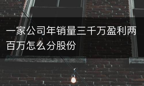 一家公司年销量三千万盈利两百万怎么分股份