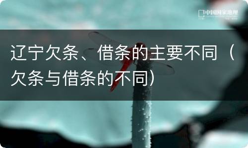 辽宁欠条、借条的主要不同（欠条与借条的不同）