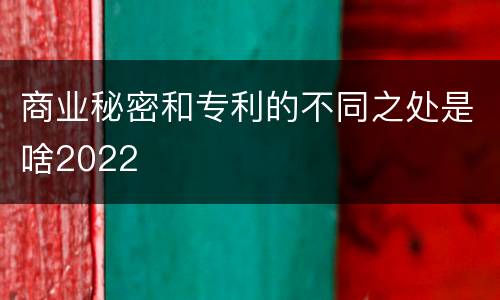 商业秘密和专利的不同之处是啥2022