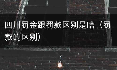 四川罚金跟罚款区别是啥（罚款的区别）