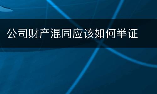 公司财产混同应该如何举证