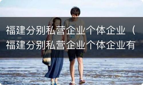 福建分别私营企业个体企业（福建分别私营企业个体企业有哪些）
