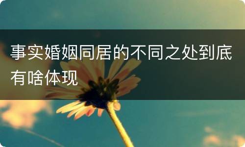 事实婚姻同居的不同之处到底有啥体现
