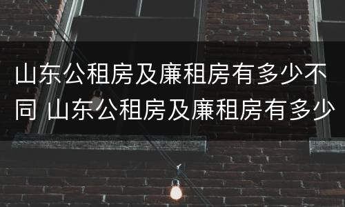山东公租房及廉租房有多少不同 山东公租房及廉租房有多少不同的