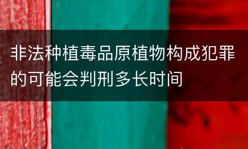 非法种植毒品原植物构成犯罪的可能会判刑多长时间