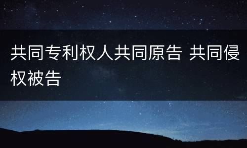 共同专利权人共同原告 共同侵权被告