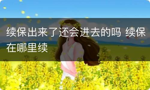 续保出来了还会进去的吗 续保在哪里续