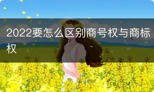 2022要怎么区别商号权与商标权