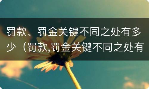 罚款、罚金关键不同之处有多少（罚款,罚金关键不同之处有多少倍）