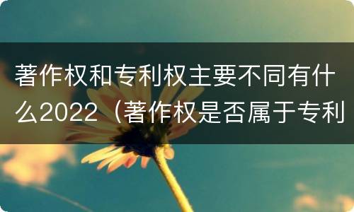 著作权和专利权主要不同有什么2022（著作权是否属于专利）