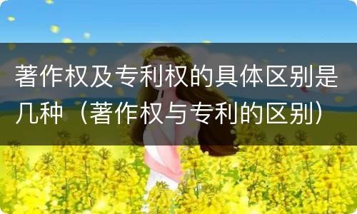 著作权及专利权的具体区别是几种（著作权与专利的区别）