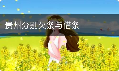 贵州分别欠条与借条
