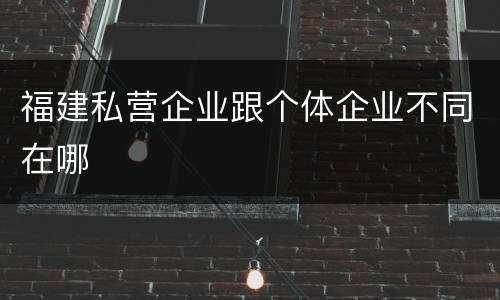 福建私营企业跟个体企业不同在哪