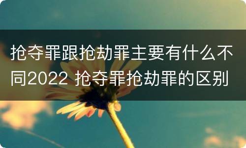 抢夺罪跟抢劫罪主要有什么不同2022 抢夺罪抢劫罪的区别