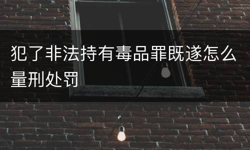 犯了非法持有毒品罪既遂怎么量刑处罚