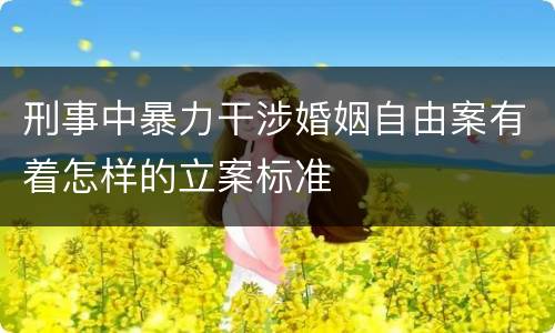 刑事中暴力干涉婚姻自由案有着怎样的立案标准