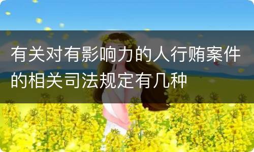 有关对有影响力的人行贿案件的相关司法规定有几种