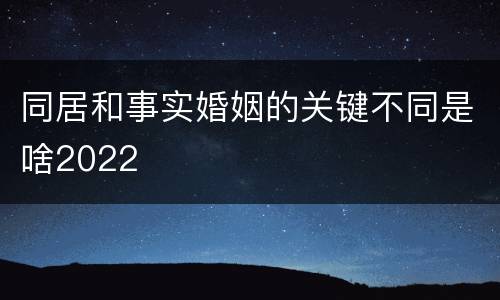 同居和事实婚姻的关键不同是啥2022