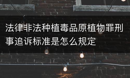 法律非法种植毒品原植物罪刑事追诉标准是怎么规定