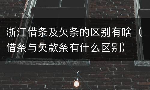 浙江借条及欠条的区别有啥（借条与欠款条有什么区别）