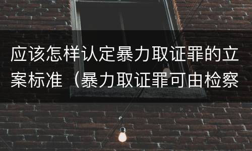 应该怎样认定暴力取证罪的立案标准（暴力取证罪可由检察院立案侦查）
