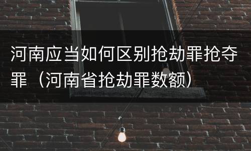 河南应当如何区别抢劫罪抢夺罪（河南省抢劫罪数额）
