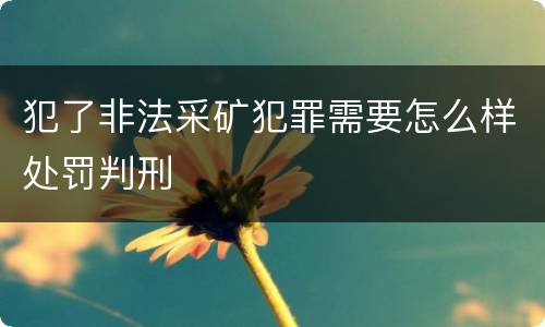 犯了非法采矿犯罪需要怎么样处罚判刑