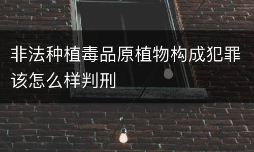 非法种植毒品原植物构成犯罪该怎么样判刑