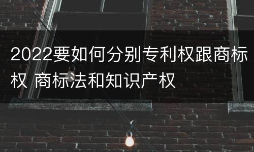 2022要如何分别专利权跟商标权 商标法和知识产权