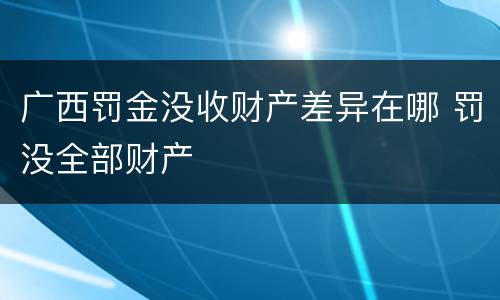 广西罚金没收财产差异在哪 罚没全部财产