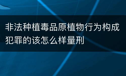 非法种植毒品原植物行为构成犯罪的该怎么样量刑