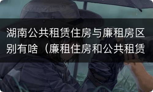 湖南公共租赁住房与廉租房区别有啥（廉租住房和公共租赁住房的区别）