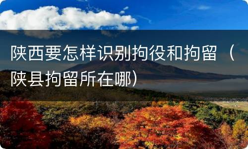 陕西要怎样识别拘役和拘留（陕县拘留所在哪）
