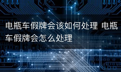 电瓶车假牌会该如何处理 电瓶车假牌会怎么处理