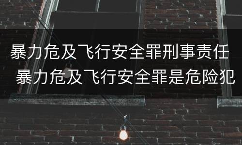 暴力危及飞行安全罪刑事责任 暴力危及飞行安全罪是危险犯吗