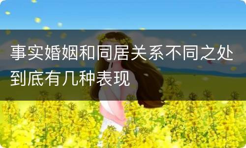 事实婚姻和同居关系不同之处到底有几种表现