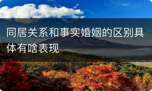 同居关系和事实婚姻的区别具体有啥表现