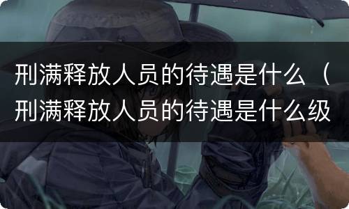 刑满释放人员的待遇是什么（刑满释放人员的待遇是什么级别）