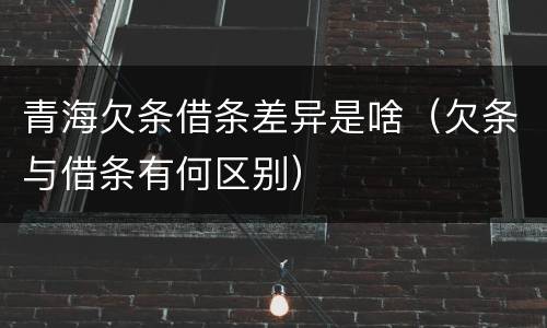 青海欠条借条差异是啥（欠条与借条有何区别）
