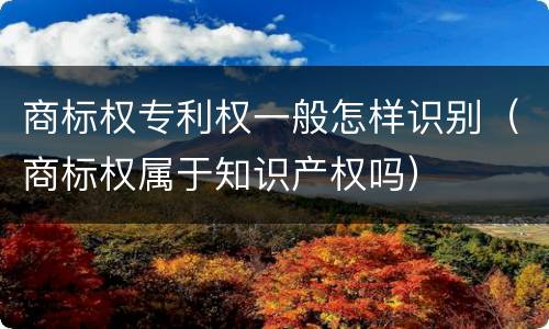 商标权专利权一般怎样识别（商标权属于知识产权吗）
